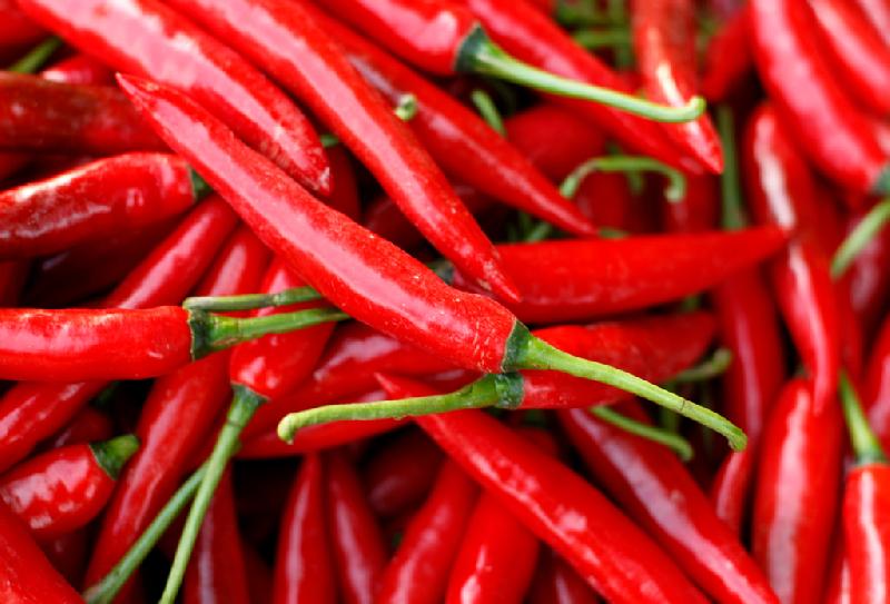 Fresh Chilli Pepper, for Cooking, Pickle, Snacks, Feature : Organic, Dairy Free