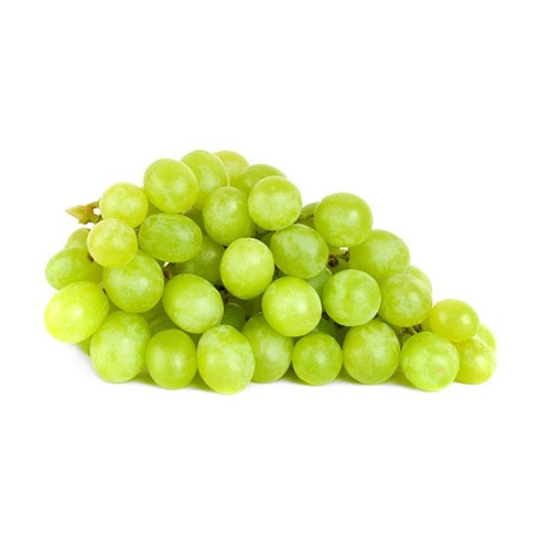 Organic Fresh Green Grapes, Shelf Life : 5-7days