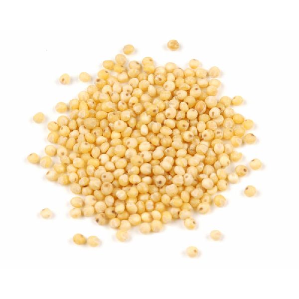 Millet Seeds