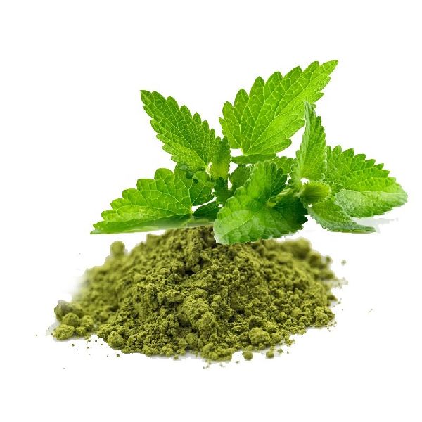 Basil Powder Manufacturer in Raipur Chhattisgarh India by Aarohie