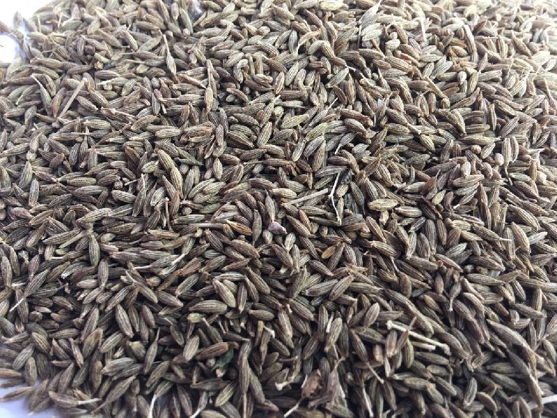 Cumin Seed, For Cooking, Medicinal, Certification : FSSAI Certified