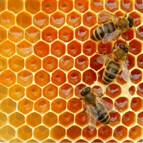 Honey Bee Products, Taste : Sweet
