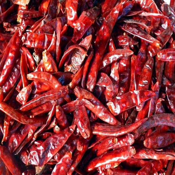 Raw Natural Red Dry Chilli, for Cooking, Spices, Food Medicine, Form : Solid