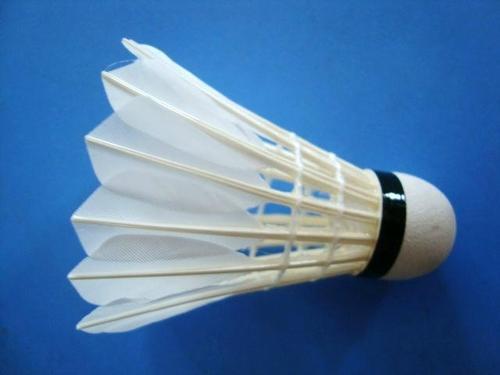 feather badminton shuttlecock