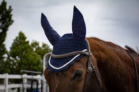 Horse Ear Bonnet