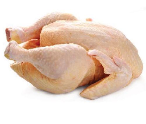 Fresh Chicken Meat