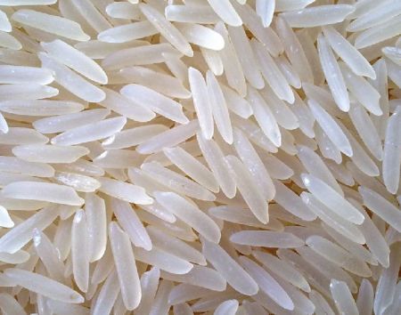 pusa basmati rice