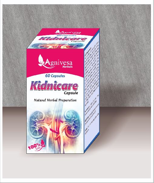 Kidnicare Capsule Exporters in Delhi Delhi India by ...