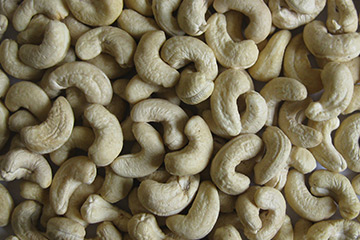 W-450 White Whole Cashew Nuts