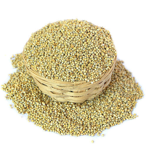 Organic Pearl Millet Seeds, Packaging Type : Jute
