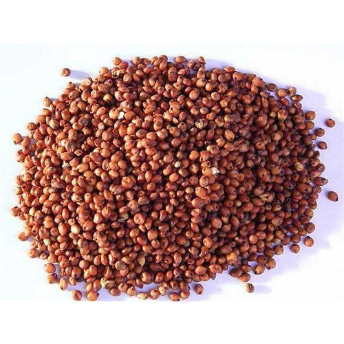 Organic Red Sorghum Seeds, Certification : FSSAI