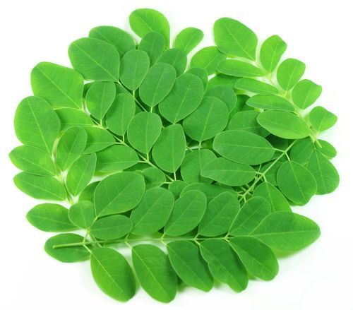 Organic Moringa Leaves, for Cosmetics, Medicine, Purity : 100%