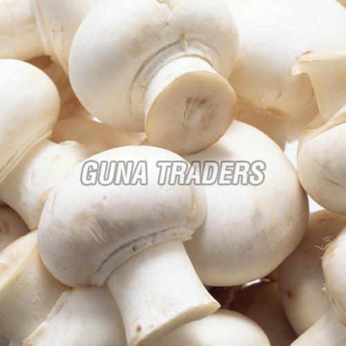 Fresh Mushroom, Packaging Type Jute Sacks at best price in Cuddalore Tamil Nadu from Guna