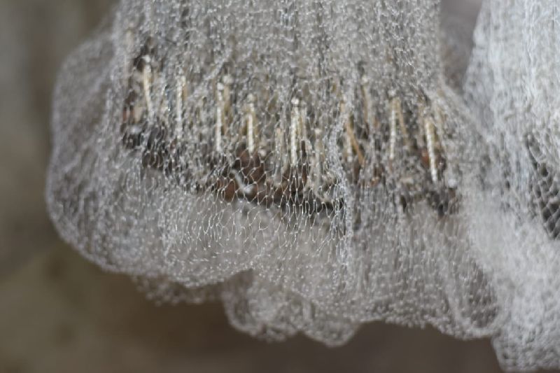 Big Fishing Net, Weave Style : Plain Weave