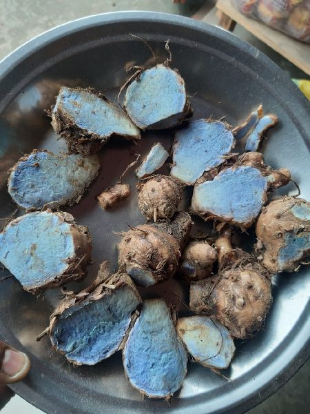 Organic Black Turmeric