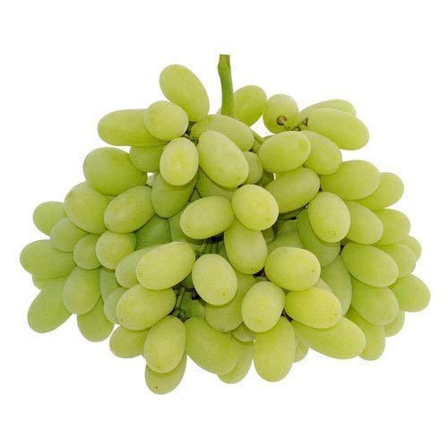 Organic fresh green grapes, Shelf Life : 3-5days