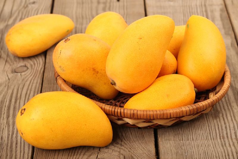 Organic Mango, for Food Processing, Juice Making, Style : Fresh