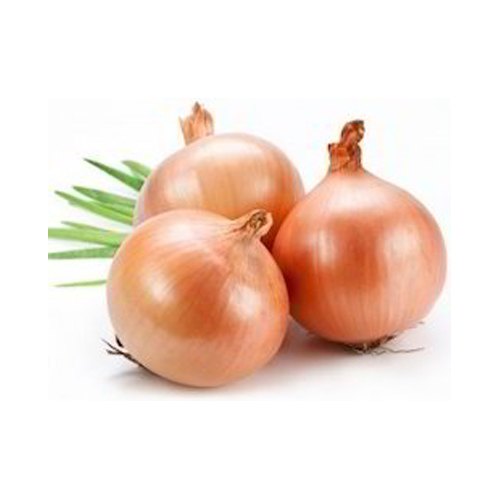 Organic yellow onion, for Cooking, Human Consumption, Packaging Type : Jute Bags