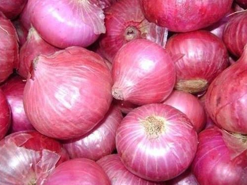 Organic Pink Onion, Packaging Type : Plastic Packet