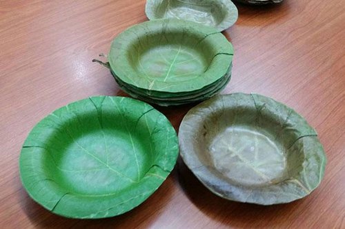 Green Paper Bowls, Size : Standard