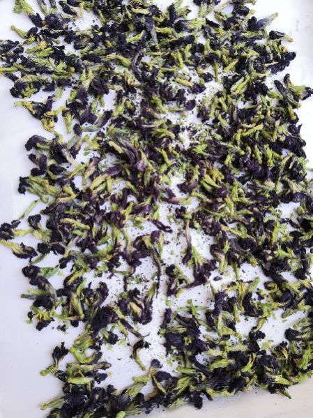 Pea Butter Fly Flower A1 Quality Food Grade