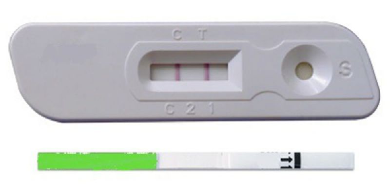 Rapid Diagnostic Pregnancy Kits, for Clinical, Home Purpose, Hospital, Feature : High Accuracy