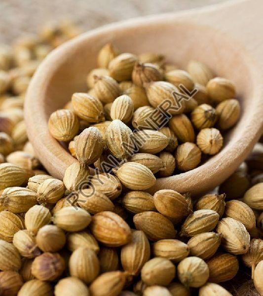 Organic coriander seeds, for Agriculture, Cooking, Food, Medicinal, Certification : FDA Certified