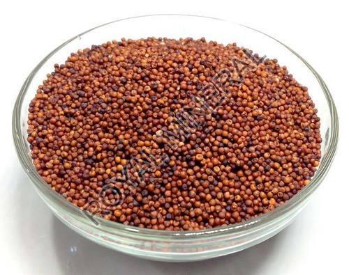 Finger Millet Seeds, Color : Dark Red