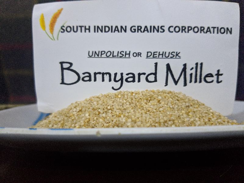 Barynard Millet Dehusk (Kuthiraivali)