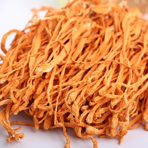 Dried Cordyceps Militaris Fruit Body, Color : Orange