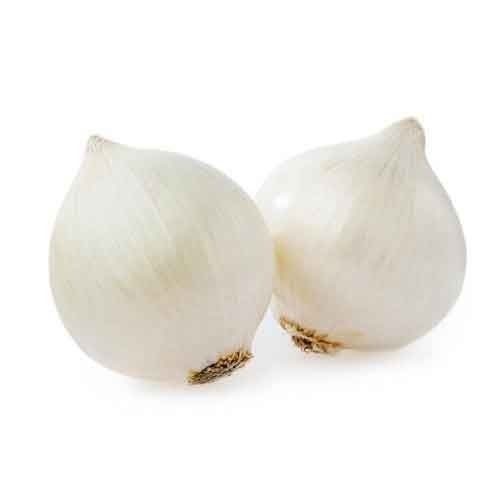 Organic Fresh White Onion, For Cooking, Fast Food, Snacks, Size : Small