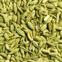 Fennel seeds, Shelf Life : 12 Months