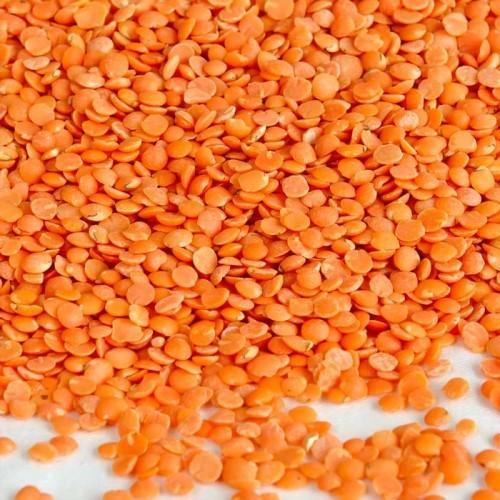 Organic Masoor Dal, Color : Orange