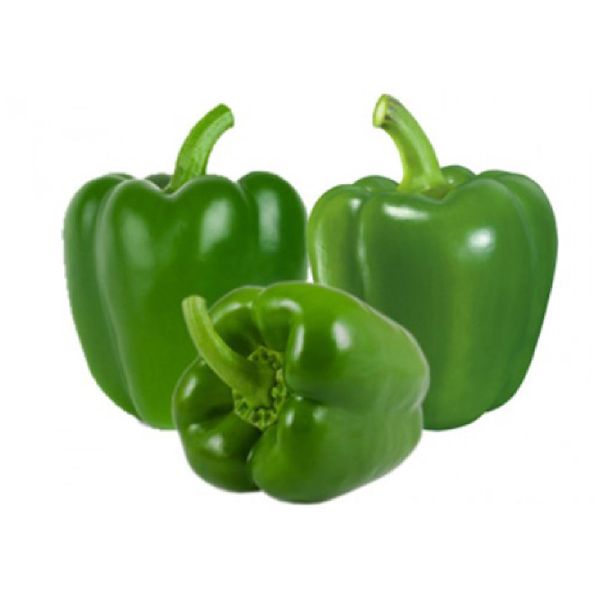 Fresh Capsicum, for Cooking, Packaging Type : Nelon Bags