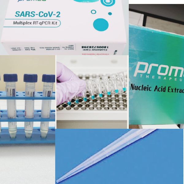 Real Time PCR Kits