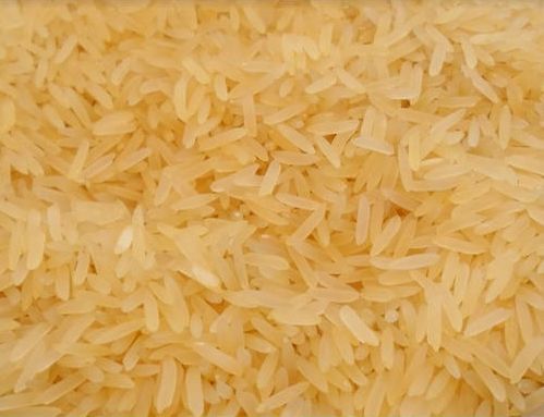 Sharbati Golden Sella Basmati Rice, for Rich nutrition, Delicious taste, Non-stickiness, Packaging Size : 50-500Kg