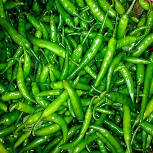 fresh green chilli