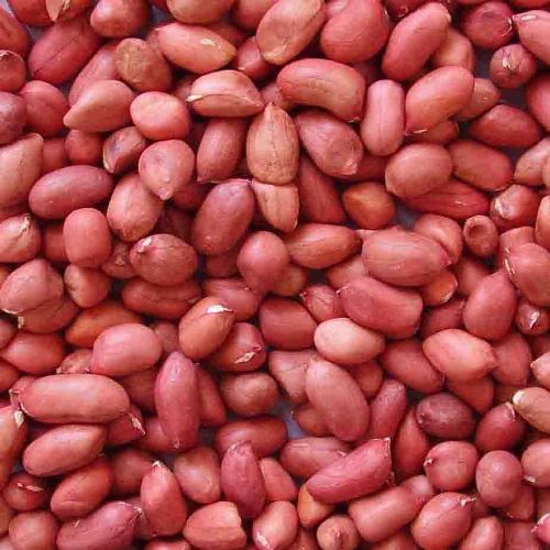 Peanut kernels, Packaging Size : 50kg