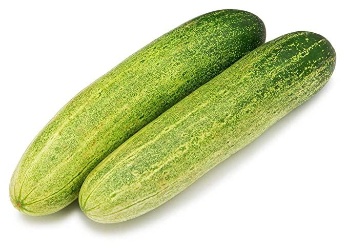 Organic Fresh Cucumber,fresh Cucumber, Packaging Type : Plastic Bag