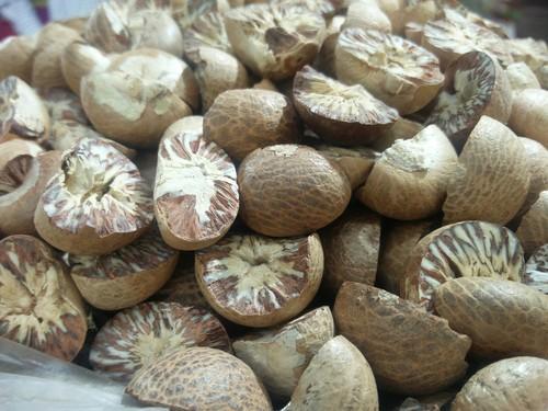 Areca Nuts