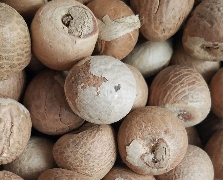 Organic betel nuts, Packaging Type : Plastic Bag