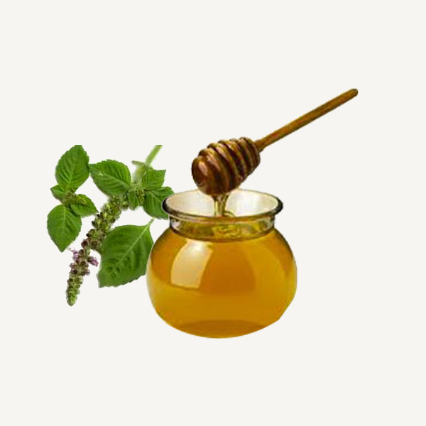 Basil Honey Feature Blood Refiner Excellent Taste Nutritive