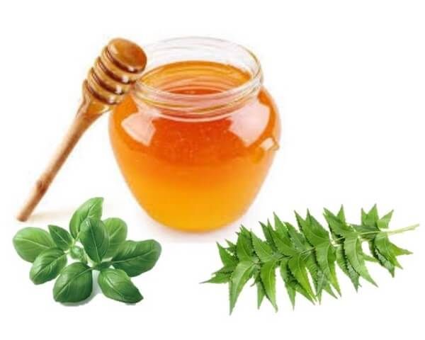 Neem Honey, for Personal, Clinical, Foods, Medicines, Packaging Size : 10 Kg, 30 Kg, 50 Kg