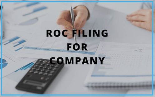 ROC Annual Return Filing Services