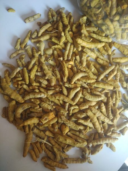 Organic Single Polished Turmeric Finger, for Ayurvedic Products, Herbal Products, Feature : Anti-Diabetic