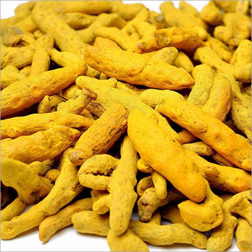 Organic double polished turmeric finger, Shelf Life : 12 Months