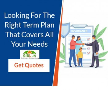 Term insurance plans services,term insurance plans