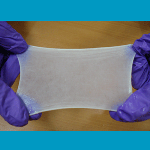 Collagen Burn Sheet, for Guided Bone Regenration, Guided Tissue