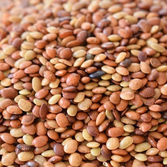 Horse Gram Price In India