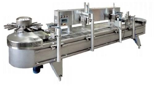 Shruti Icemec Ice Candy Plant